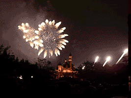 Gif animé feux d'artifices 155